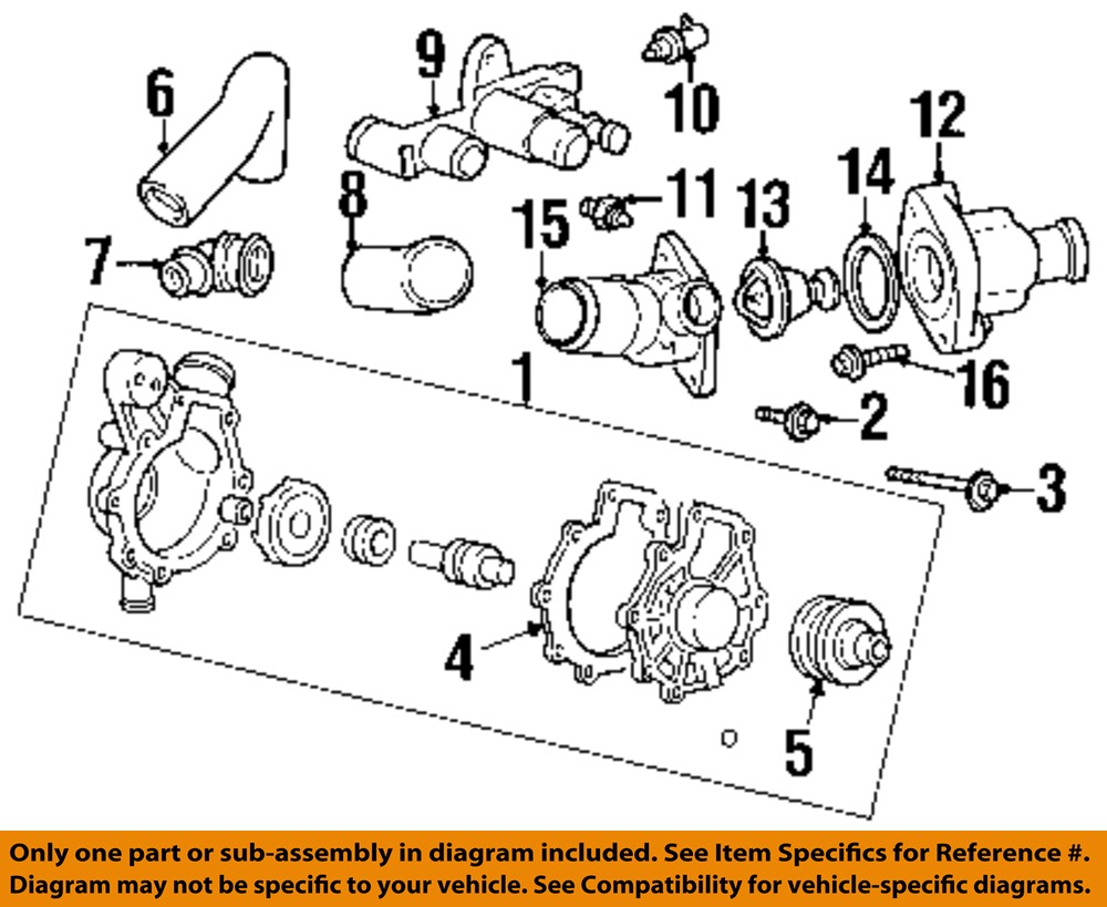 Mercury FORD OEM 99-02 Cougar 2.5L-V6 Water Pump-Inlet Hose XS2Z8A567AA