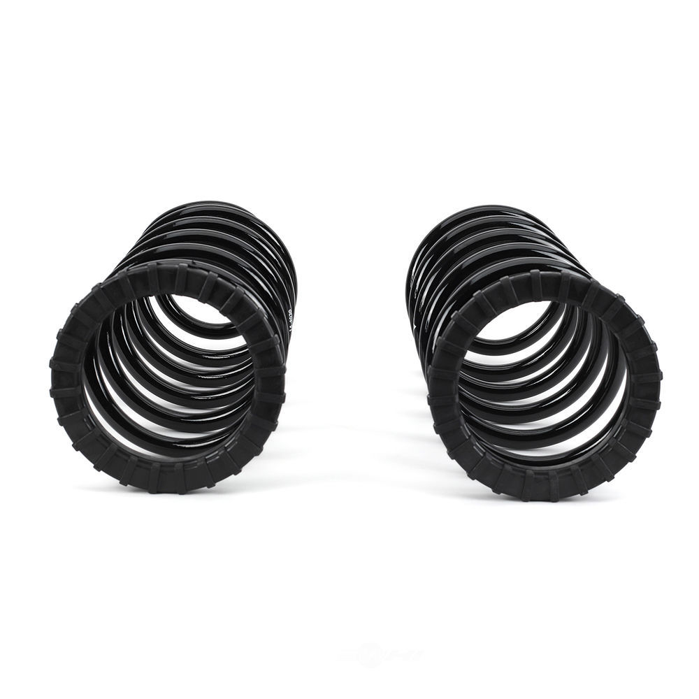 ARNOTT AIR SUSPENSION - NEW - AAS C-2410