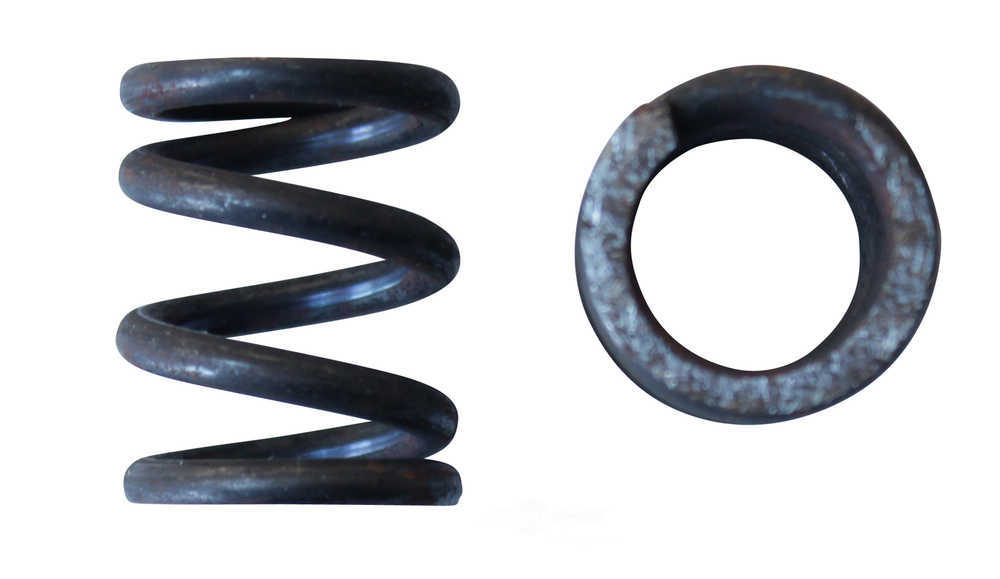 AP EXHAUST W/O FEDERAL CONVERTER - Exhaust Spring - APK F5309