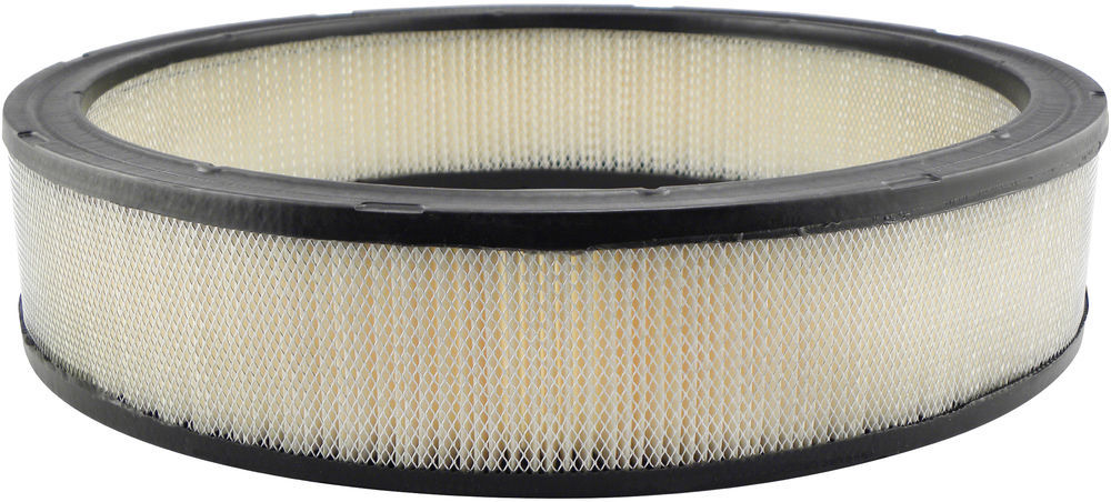BALDWIN - Air Filter - BDW PA2002