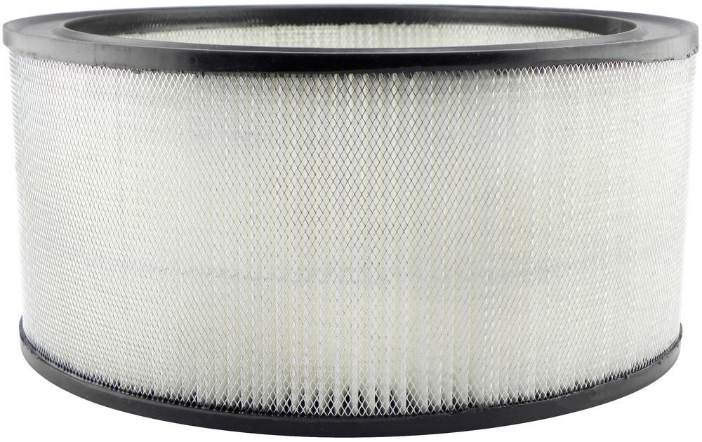 BALDWIN - Air Filter - BDW PA2091