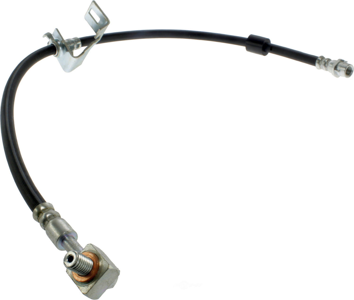 CENTRIC PARTS - Centric Premium Brake Hydraulic Hoses (Rear Right) - CEC 150.62455