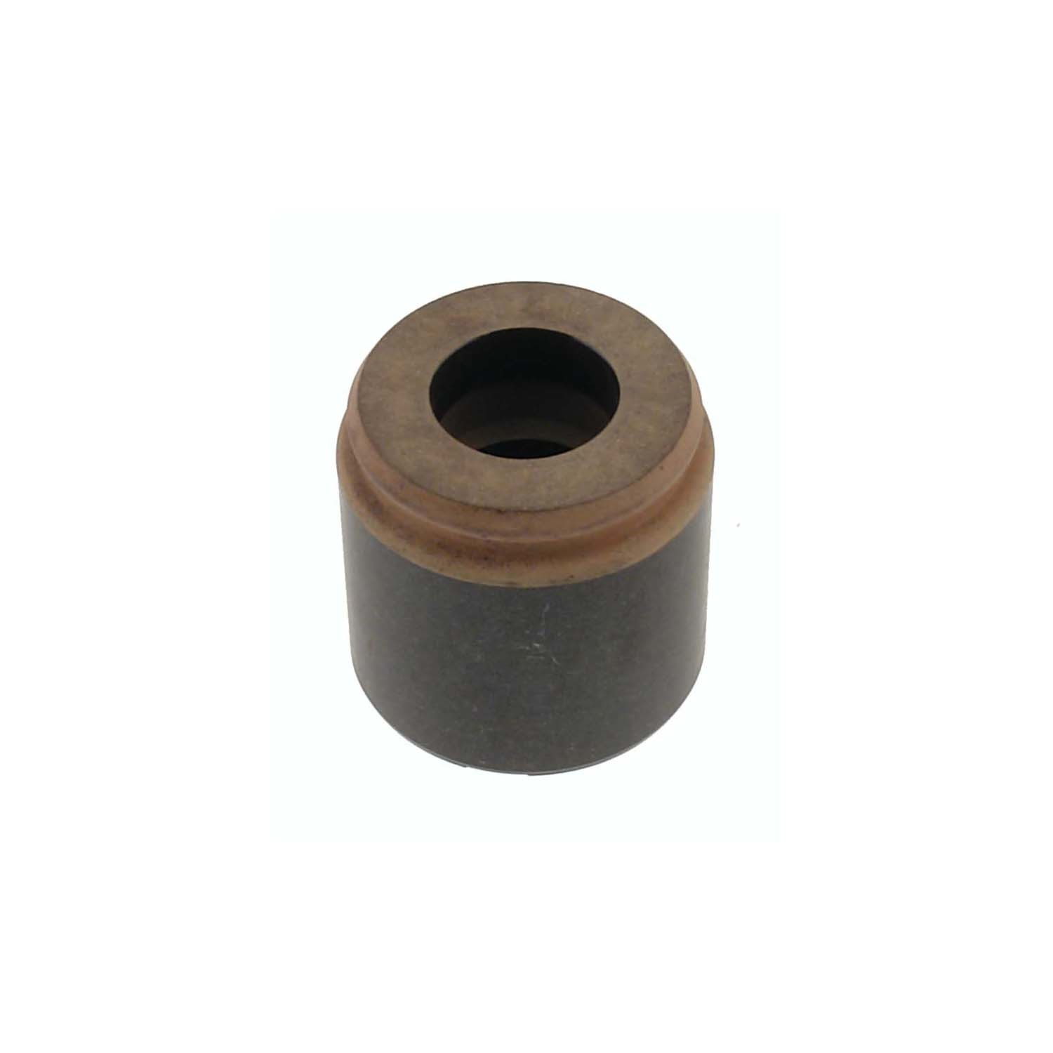 CARLSON QUALITY BRAKE PARTS - Disc Brake Caliper Piston (Rear) - CRL 7718