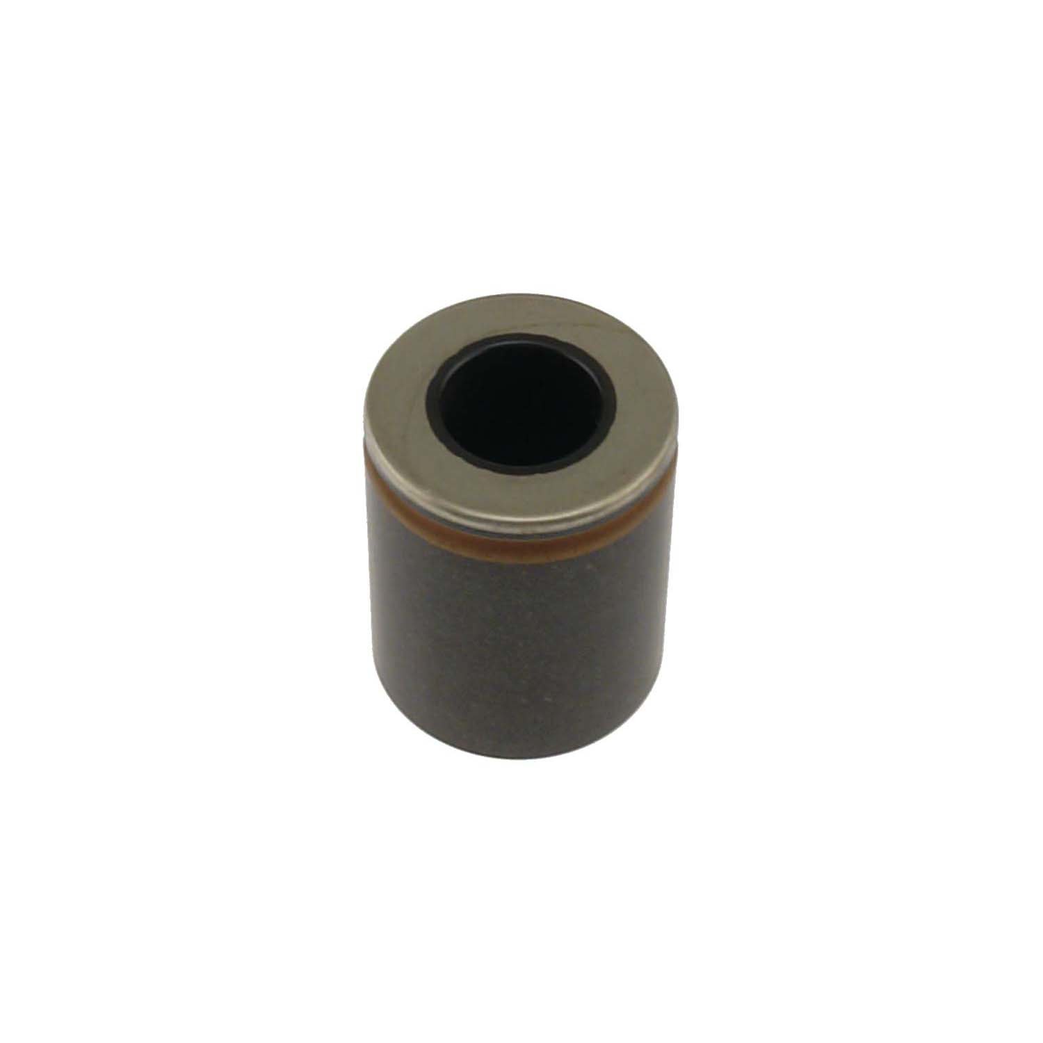 CARLSON QUALITY BRAKE PARTS - Disc Brake Caliper Piston (Rear) - CRL 7859