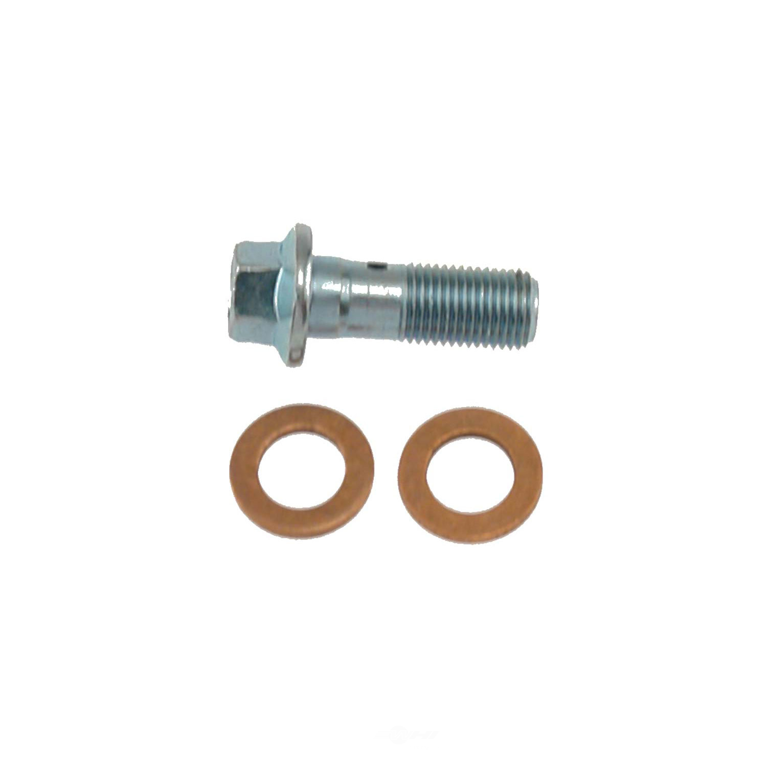 CARLSON QUALITY BRAKE PARTS - Contains 1 Bolt and 2 Washers (Rear) - CRL H9473