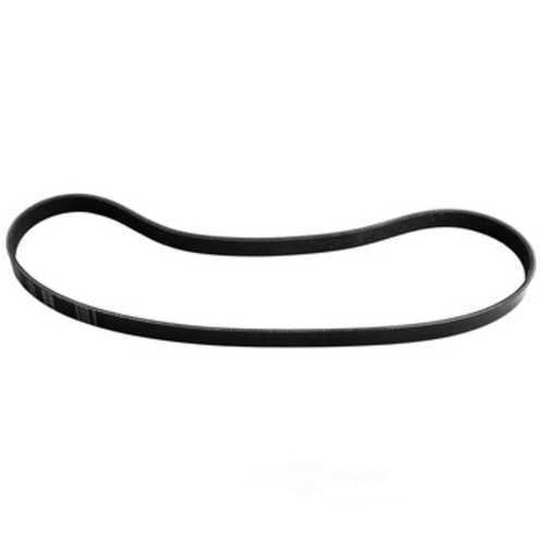 DAYCO PRODUCTS LLC - Serpentine Belt - DAY - 5060453