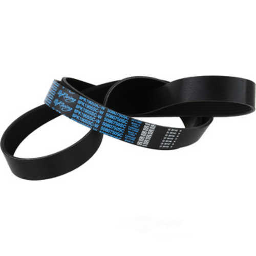 DAYCO PRODUCTS LLC - Serpentine Belt - DAY - 5080750sc