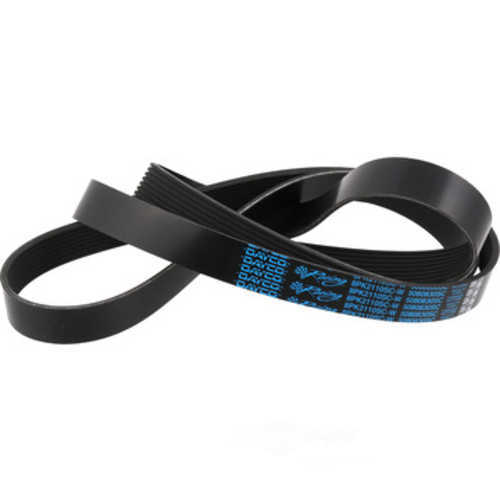 DAYCO PRODUCTS LLC - Serpentine Belt - DAY - 5080830sc