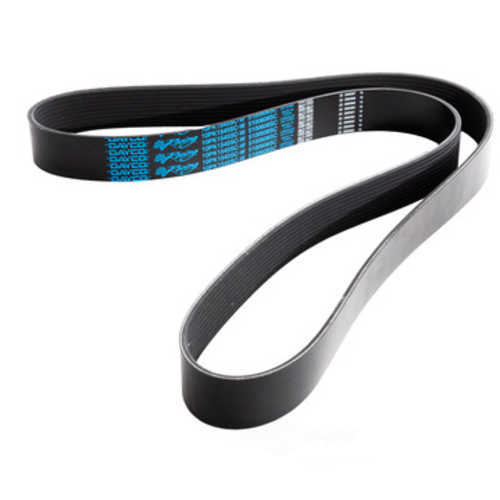 DAYCO PRODUCTS LLC - Serpentine Belt - DAY - 5100608