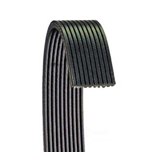 DAYCO PRODUCTS LLC - Serpentine Belt - DAY - 6100741