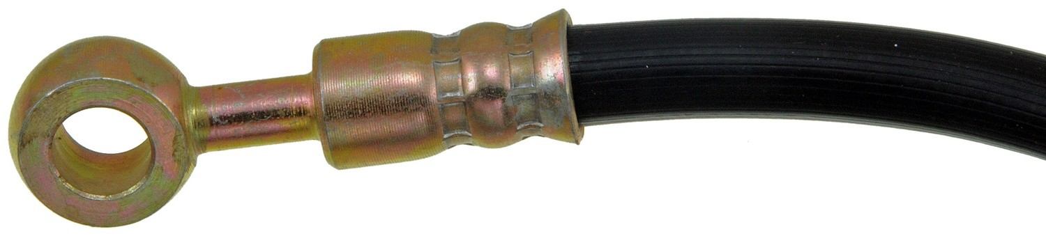 DORMAN - FIRST STOP - Brake Hydraulic Hose (Front Right) - DBP H38732