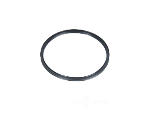 GM GENUINE PARTS - Fuel Line Seal Ring - GMP 12511962