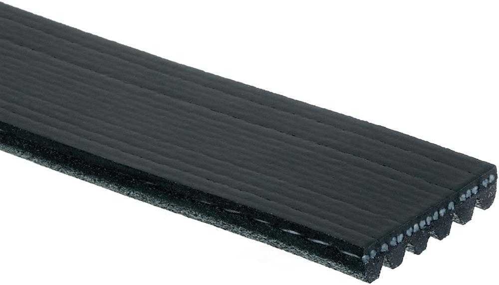 ACDELCO GM ORIGINAL EQUIPMENT - Serpentine Belt - DCB - 12564763