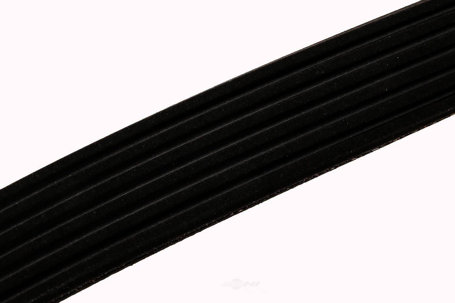 ACDELCO GM ORIGINAL EQUIPMENT - Serpentine Belt - DCB - 12571918