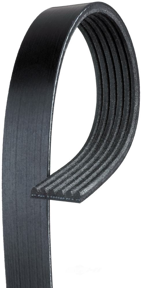ACDELCO GOLD/PROFESSIONAL - Serpentine Belt - DCC 12576453