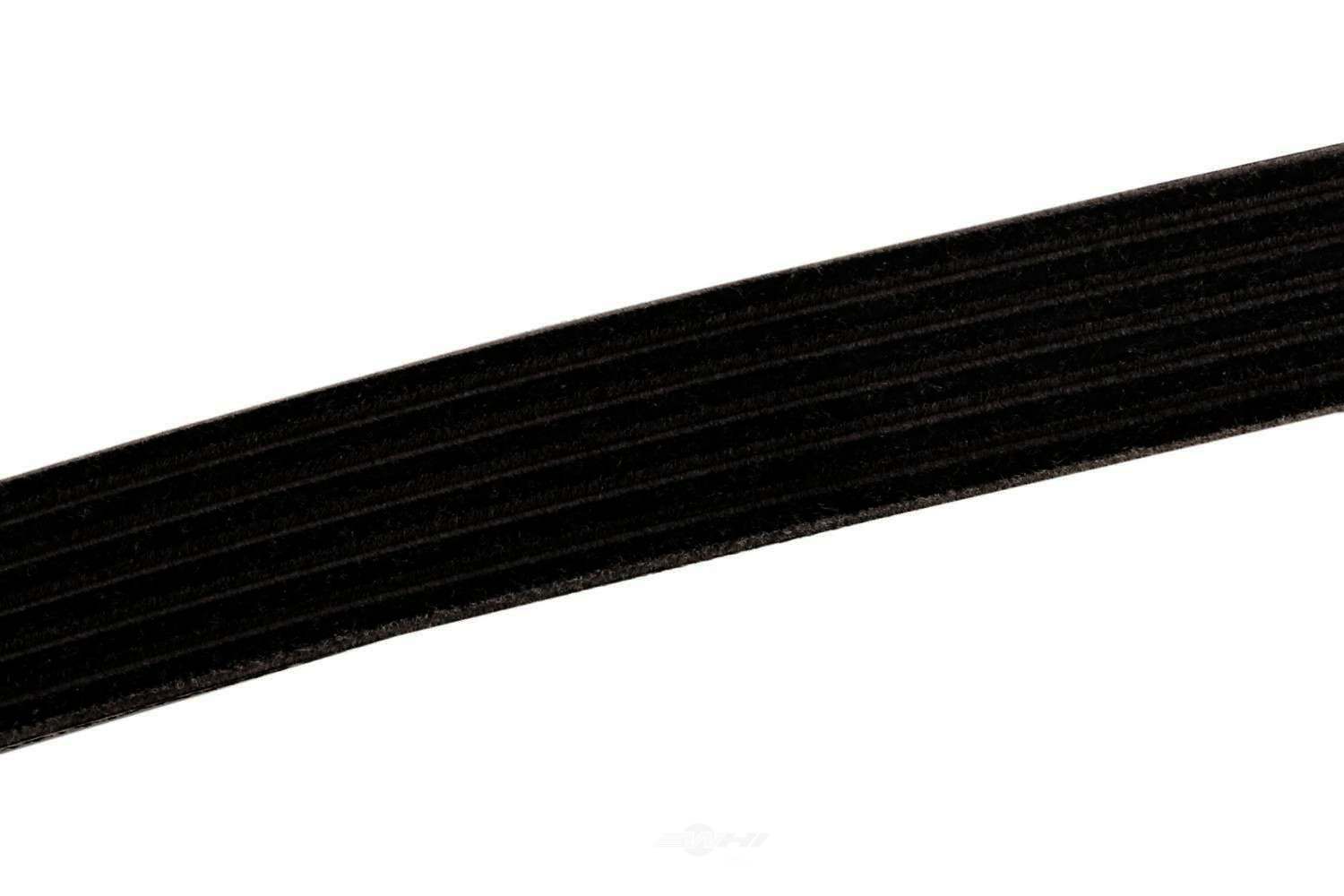 ACDELCO GM ORIGINAL EQUIPMENT - Serpentine Belt - DCB - 12584310