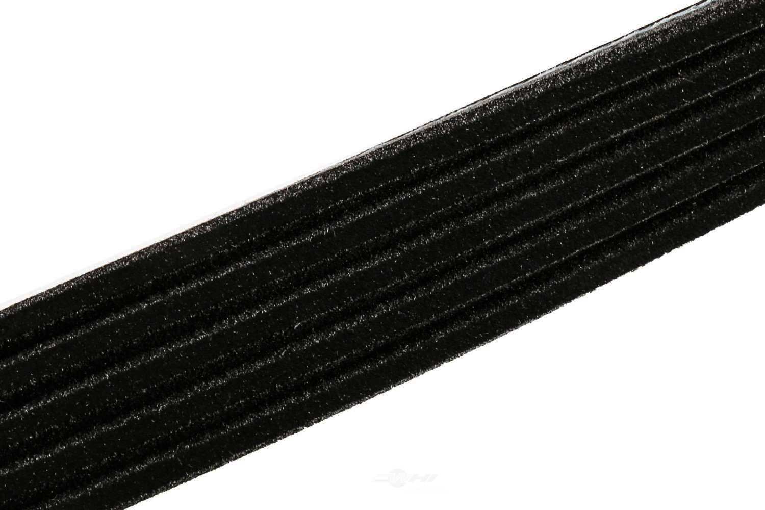 ACDELCO GM ORIGINAL EQUIPMENT - Serpentine Belt - DCB - 12634322