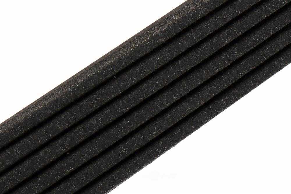 ACDELCO GM ORIGINAL EQUIPMENT - Serpentine Belt - DCB - 12639018
