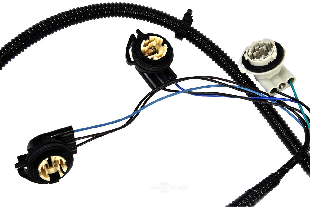 GM GENUINE PARTS - Tail Light Wiring Harness (Right) - GMP 16531402