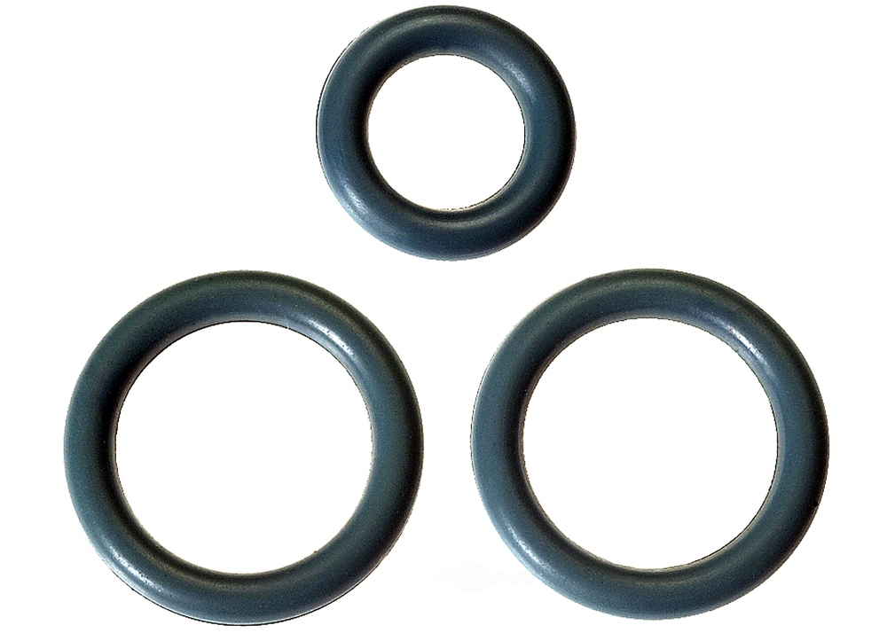 GM GENUINE PARTS - Fuel Injection Fuel Rail O-Ring Kit - GMP 17113552
