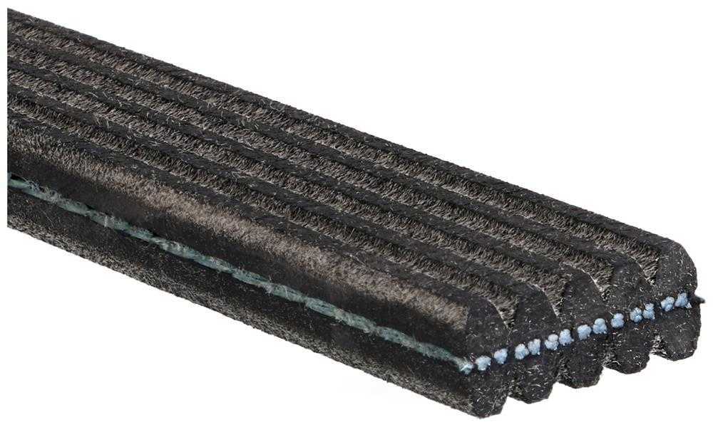 ACDELCO GOLD/PROFESSIONAL - Dual Sided Serpentine Belt - DCC - 5dk610