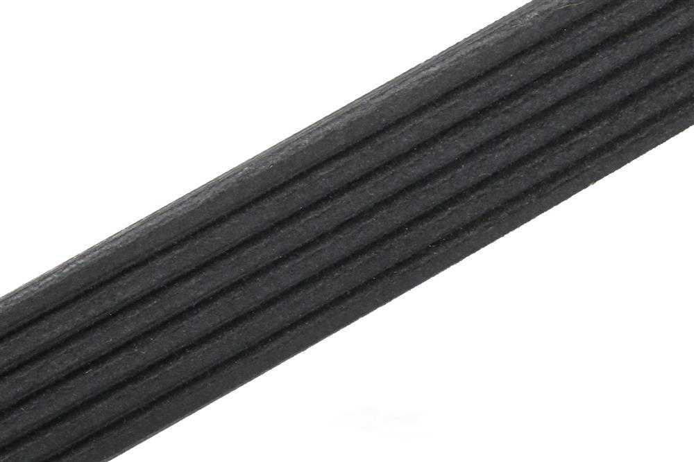 ACDELCO GM ORIGINAL EQUIPMENT - Serpentine Belt - DCB - 19172679