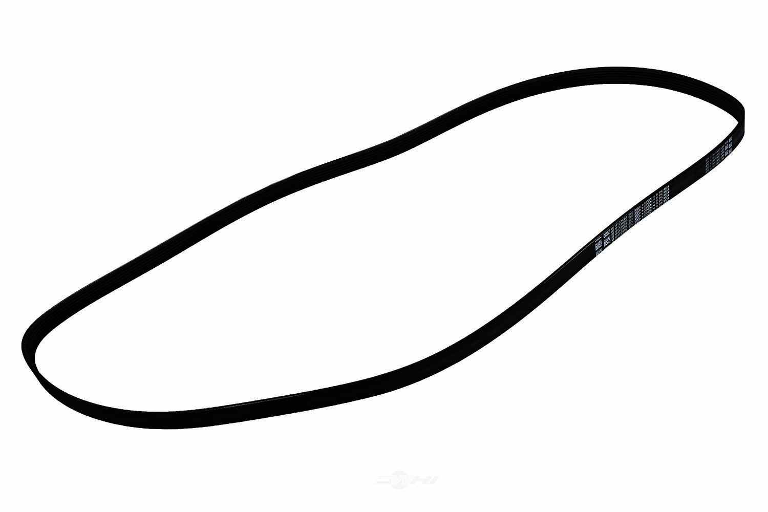 ACDELCO GM ORIGINAL EQUIPMENT - Serpentine Belt - DCB - 19172682