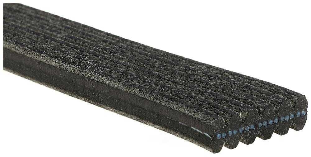 ACDELCO GOLD/PROFESSIONAL - Dual Sided Serpentine Belt - DCC - 6dk809