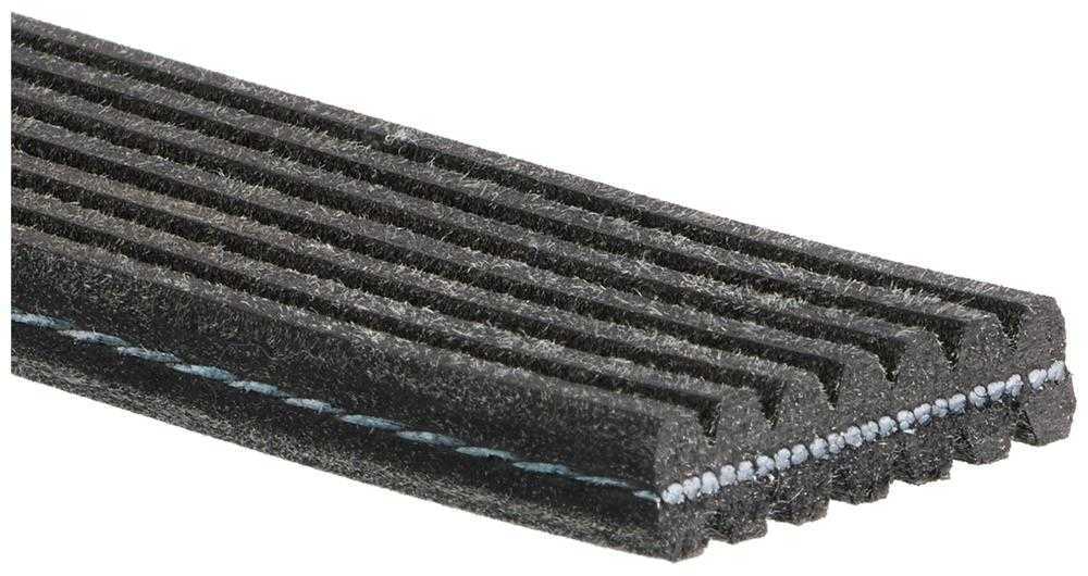 ACDELCO GOLD/PROFESSIONAL - Dual Sided Serpentine Belt - DCC - 7dk1135
