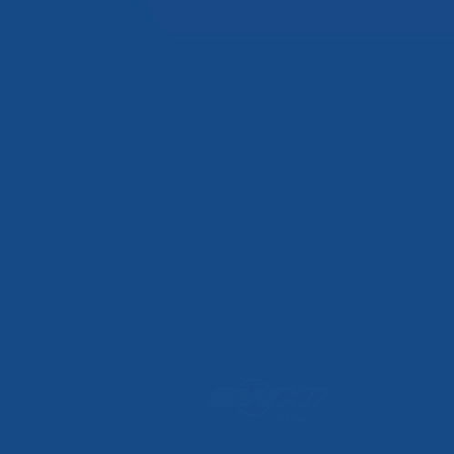 ACDELCO GM ORIGINAL EQUIPMENT - Paint - DCB - 19367841