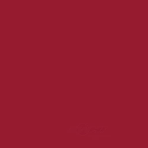 ACDELCO GM ORIGINAL EQUIPMENT - Paint - DCB - 19367852