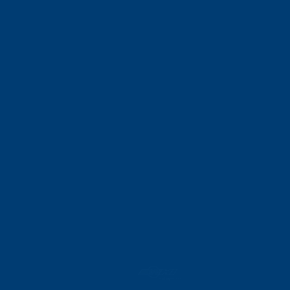 ACDELCO GM ORIGINAL EQUIPMENT - Paint - DCB - 19367910