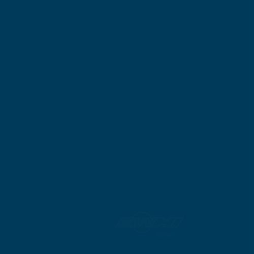 ACDELCO GM ORIGINAL EQUIPMENT - Paint - DCB - 19367958