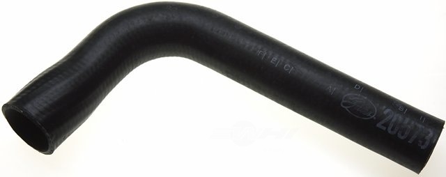 ACDELCO GOLD/PROFESSIONAL - Molded Radiator Coolant Hose (Lower) - DCC 22038M