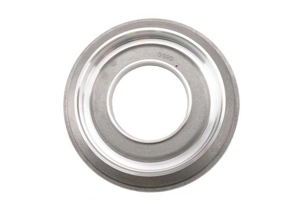 GM GENUINE PARTS - Automatic Transmission Clutch Pack Piston (1-2-3-4) - GMP 24266364