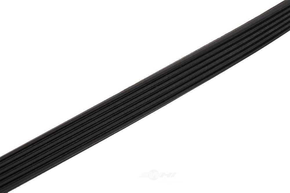 ACDELCO GM ORIGINAL EQUIPMENT - Serpentine Belt - DCB - 24401180