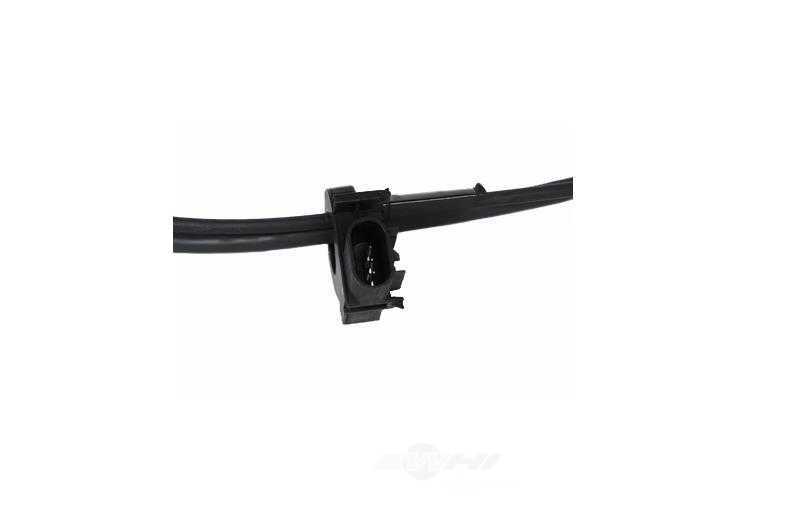 GM GENUINE PARTS - Battery Cable (Negative) - GMP 25850292