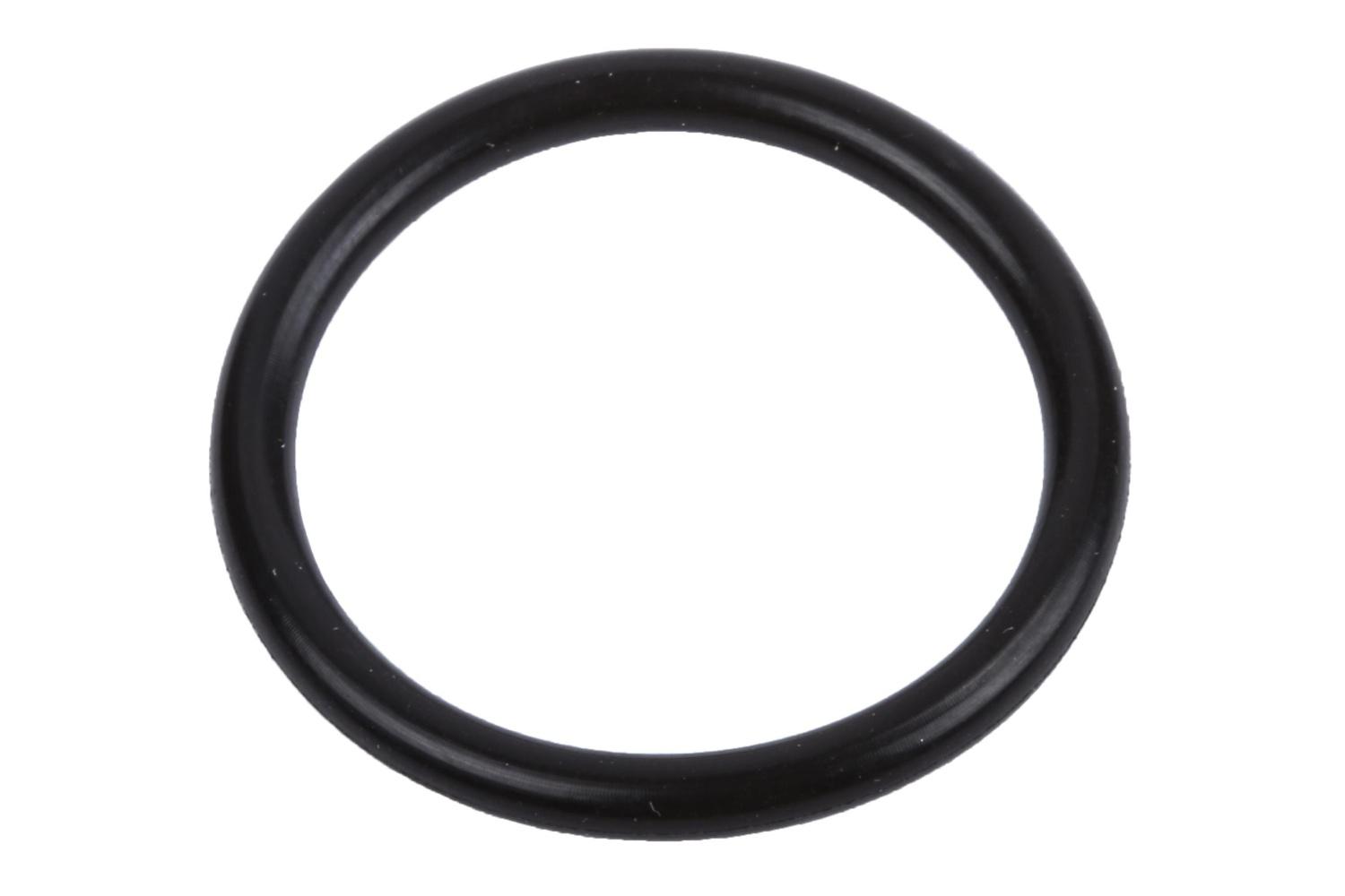 GM GENUINE PARTS - Engine Water Pump Inlet Pipe O-Ring - GMP 55570238
