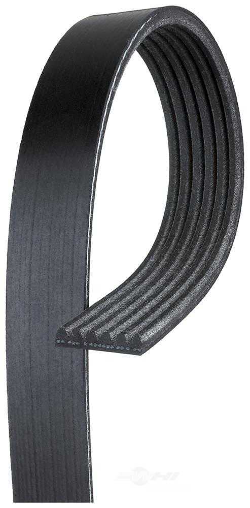ACDELCO GOLD/PROFESSIONAL CANADA 6K505 — Courroie d'accessoires