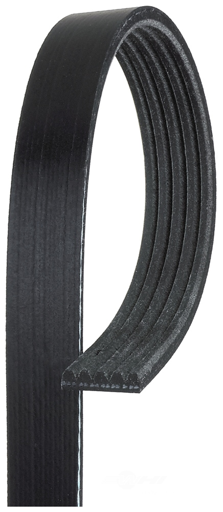 ACDELCO GOLD/PROFESSIONAL - Standard Serpentine Belt - DCC 5K350