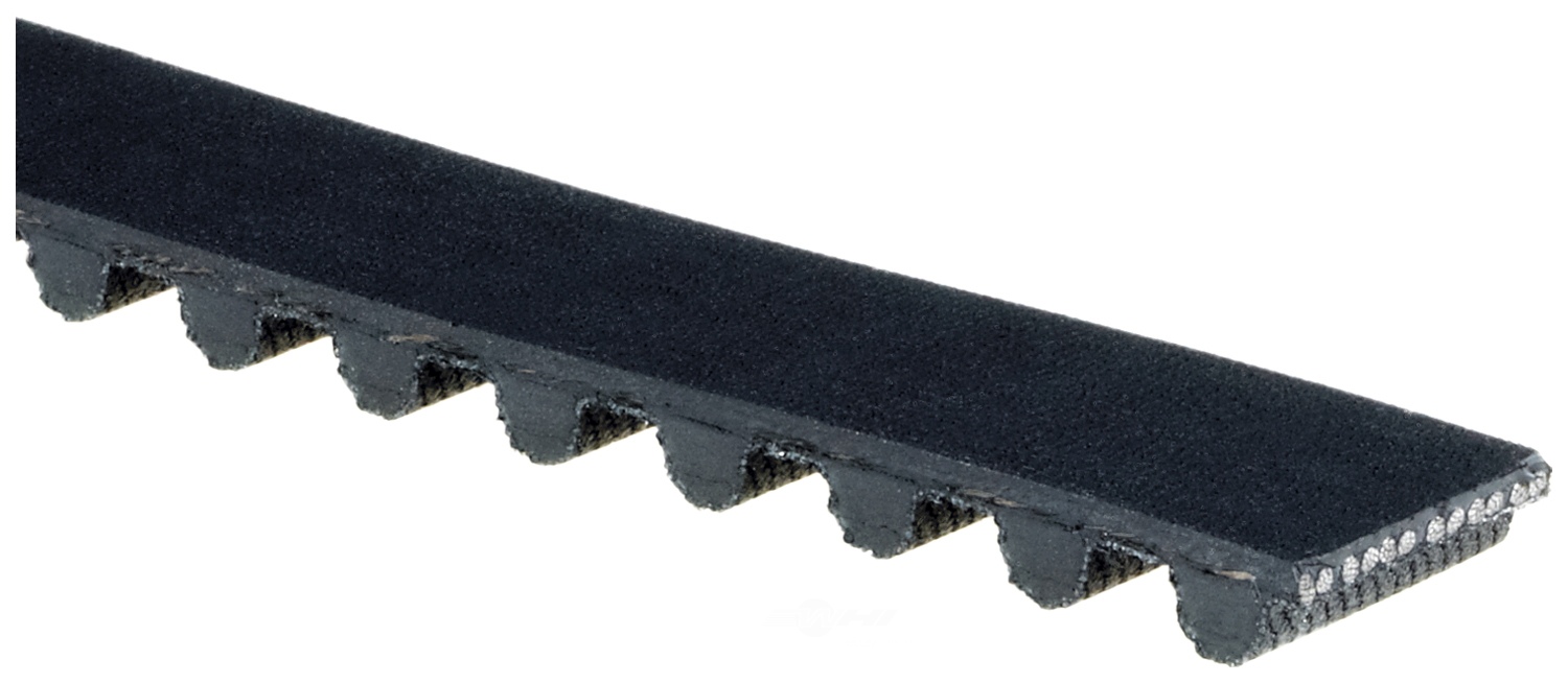 ACDELCO GOLD/PROFESSIONAL - Engine Timing Belt - DCC - tb081