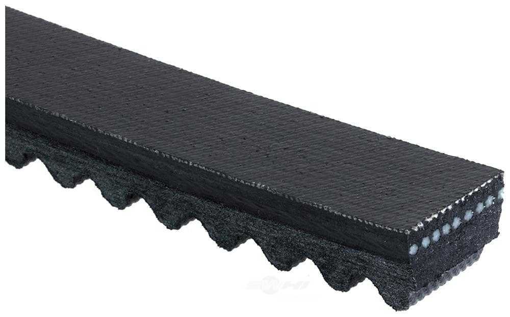 ACDELCO GOLD/PROFESSIONAL - Accessory Drive Belt - DCC - t22425