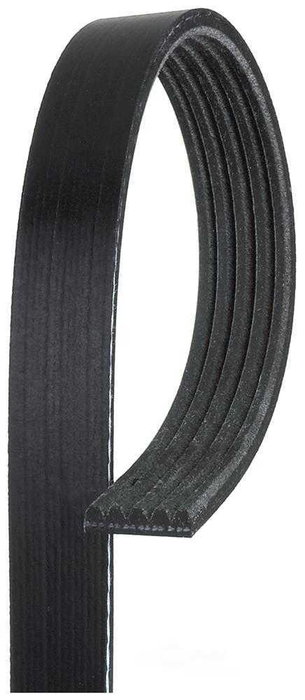 ACDELCO GOLD/PROFESSIONAL CANADA 5K685 — Courroie d'accessoires
