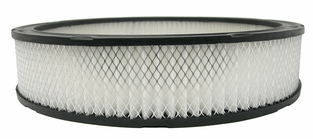 ACDELCO GOLD/PROFESSIONAL - Engine Air Filter - DCC - a354c