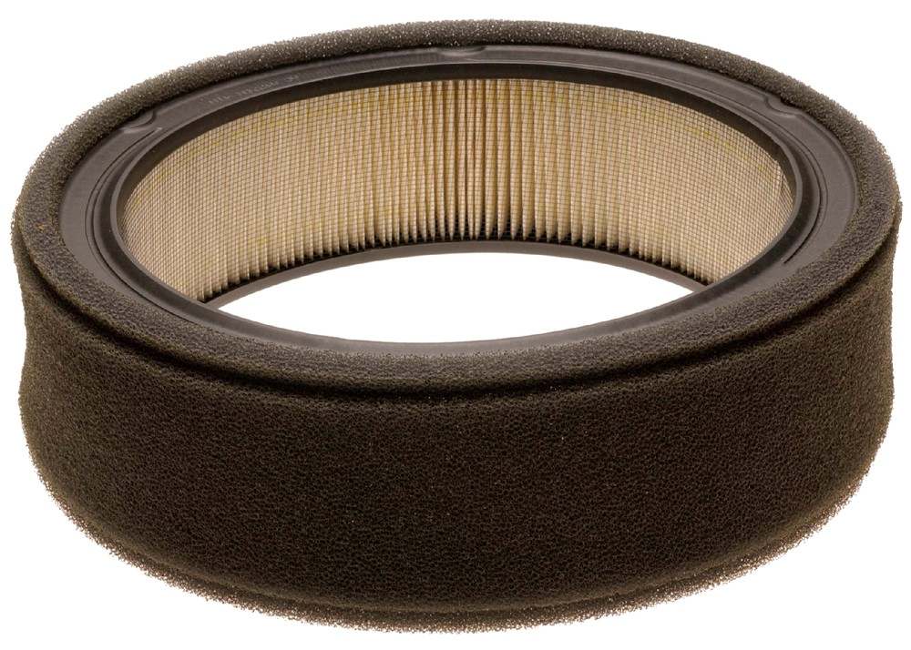 ACDELCO GOLD/PROFESSIONAL - Durapack Air Filter - Pack of 04 - DCC A477CF