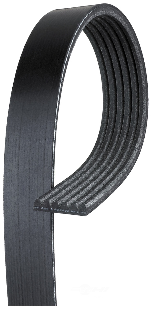 ACDELCO GOLD/PROFESSIONAL CANADA 6K771 — Courroie d'accessoires
