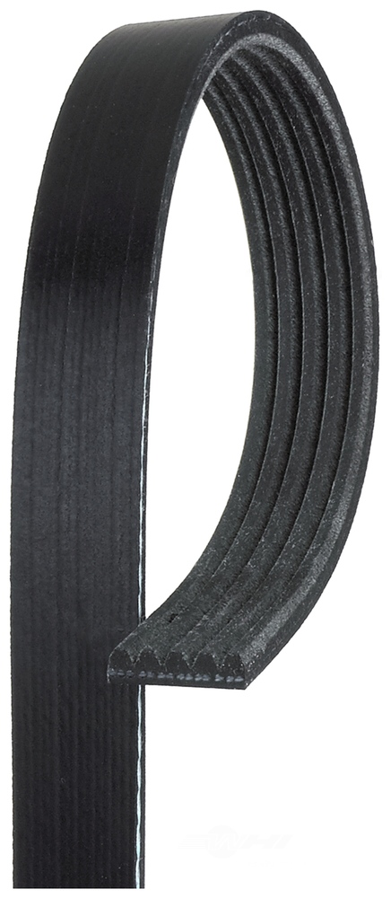 ACDELCO GOLD/PROFESSIONAL CANADA 5K660 — Serpentine Belt