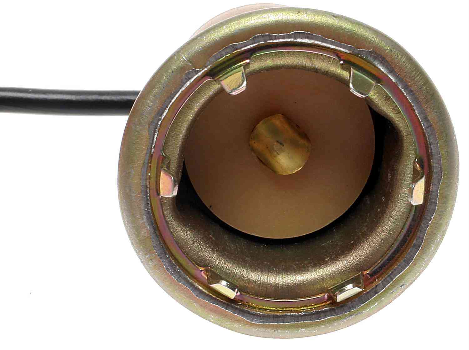 ACDELCO GOLD/PROFESSIONAL - License Plate Light Socket - DCC - ls229