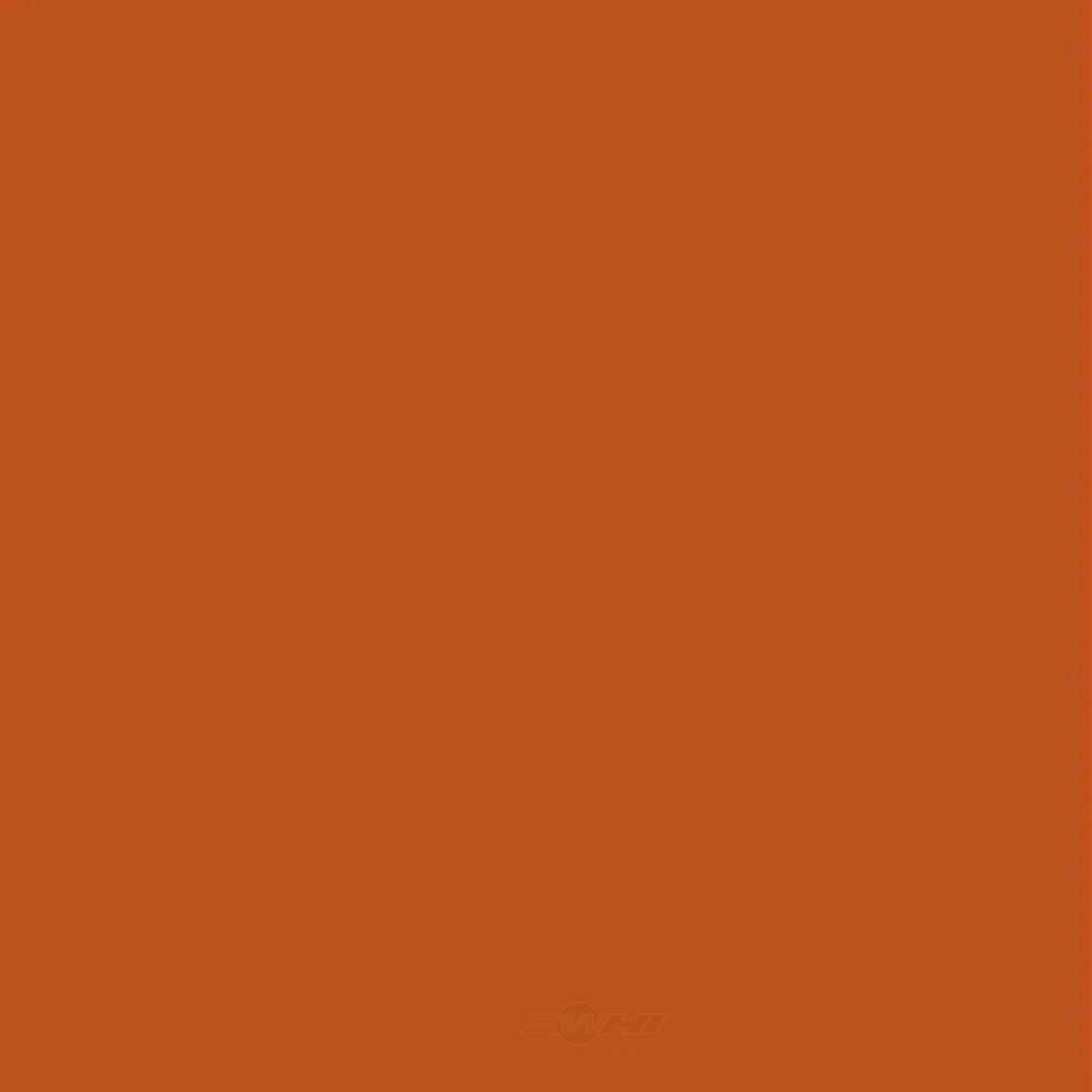 ACDELCO GM ORIGINAL EQUIPMENT - Paint - DCB - 19367844