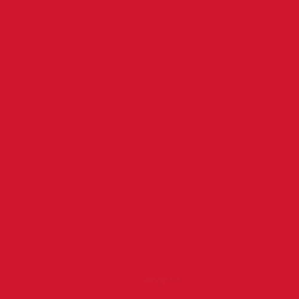 ACDELCO GM ORIGINAL EQUIPMENT - Paint - DCB - 19367939
